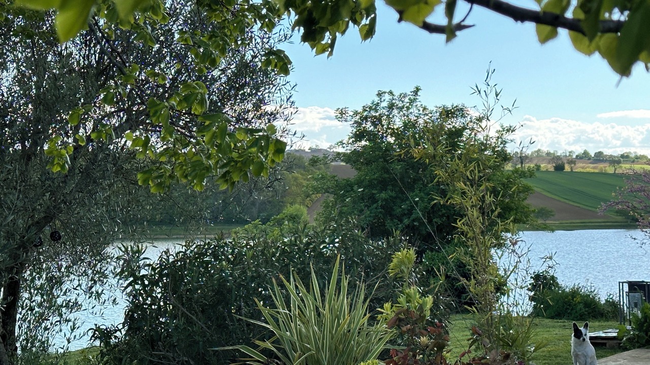 Photo of Outdoor in Montpitol