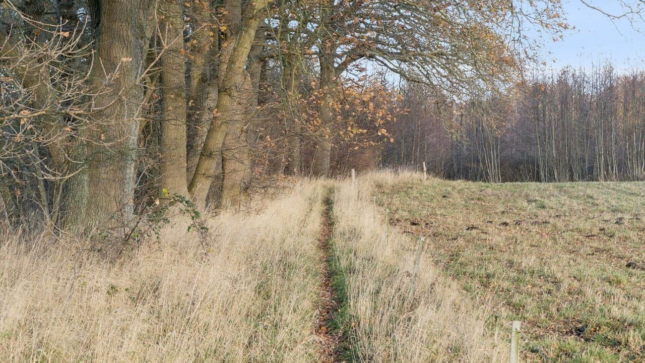 Photo of Others in Roneklint