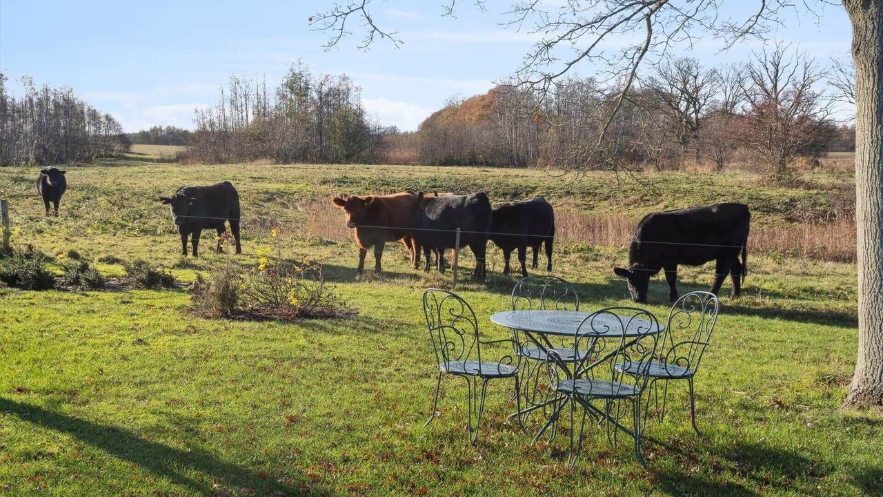 Photo of Outdoor in Roneklint
