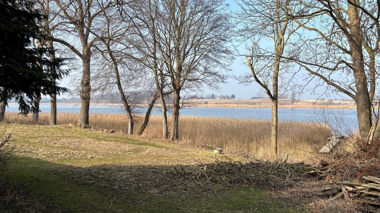 Photo of Others in Stege