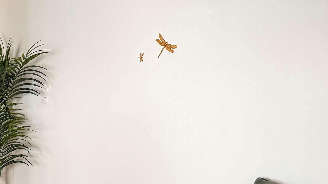 Photo of Others in Les Herbiers