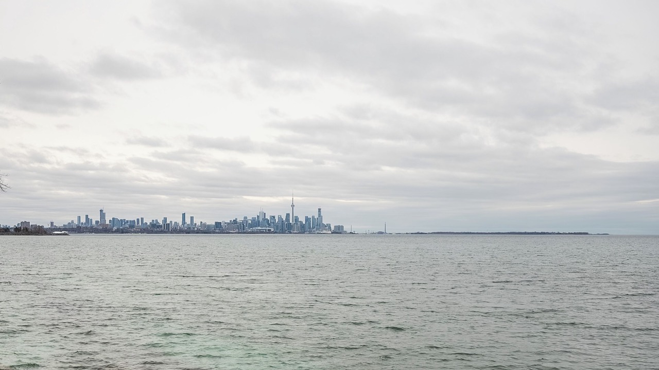 Photo of Others in New Toronto