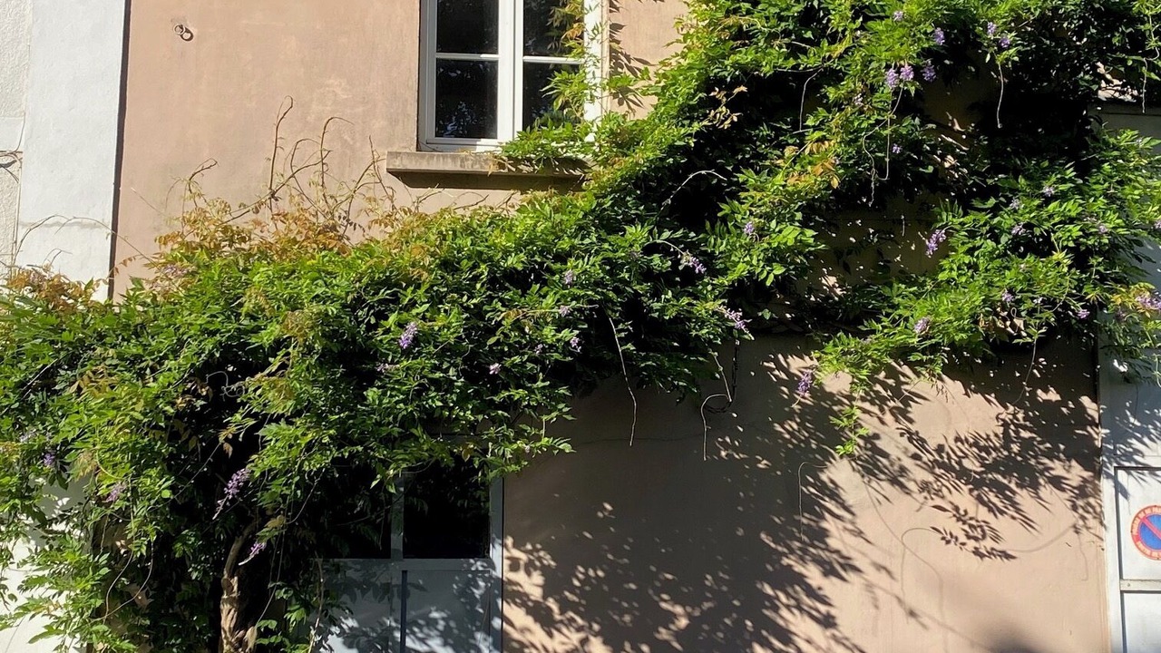 Photo of Outdoor in La Fayette-Eble