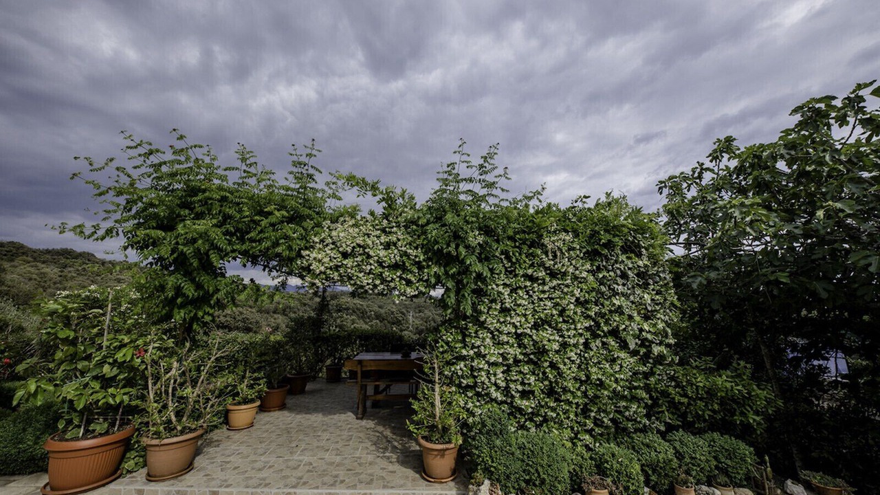 Photo of Outdoor in Suha Punta