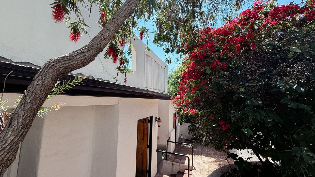 Photo of Outdoor in Hollywood Hills West
