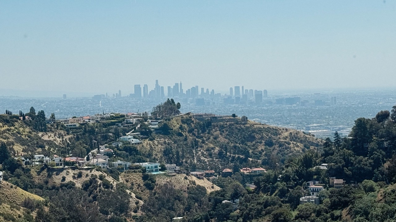 Photo of Others in Hollywood Hills West