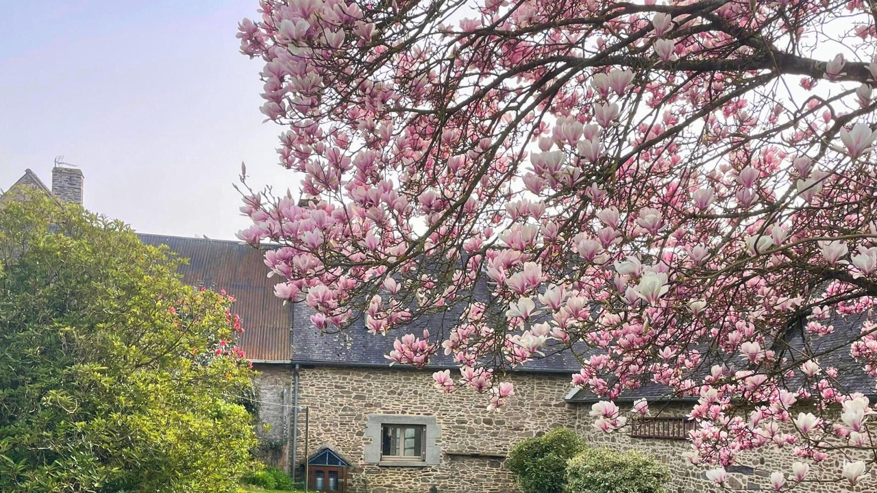 Photo of Outdoor in Baguer-Morvan