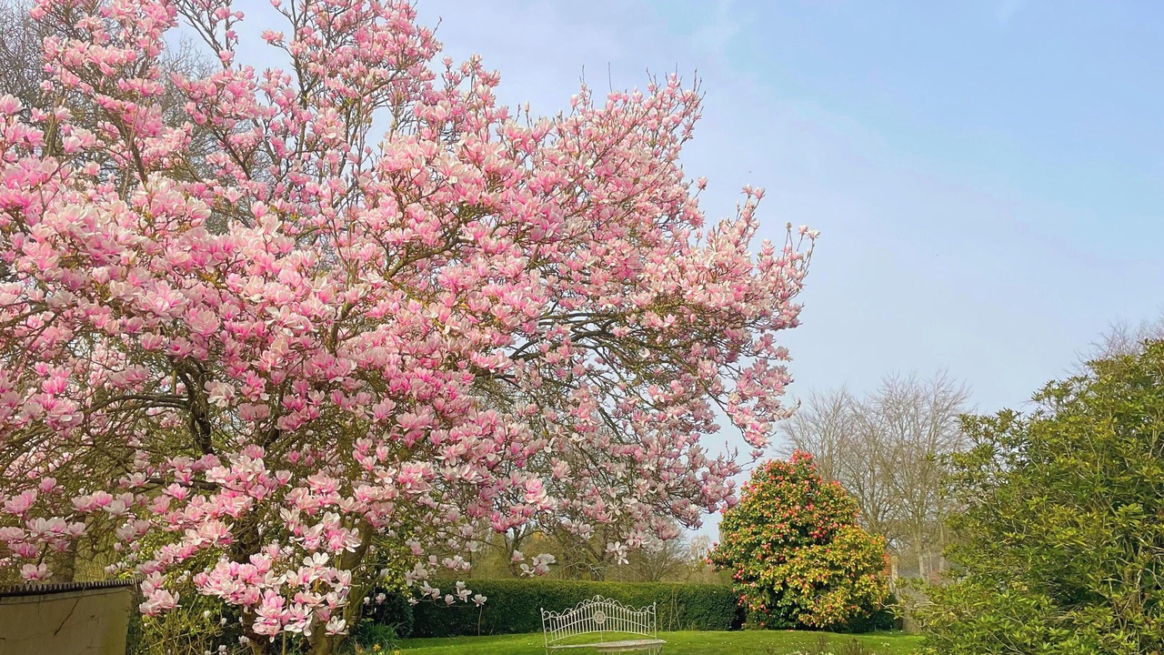 Photo of Outdoor in Baguer-Morvan