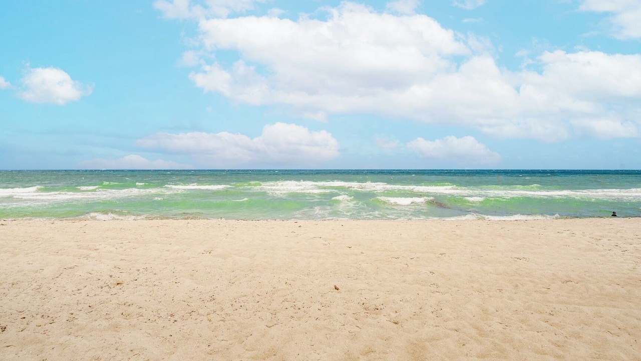 Photo of Others in Pompano Beach