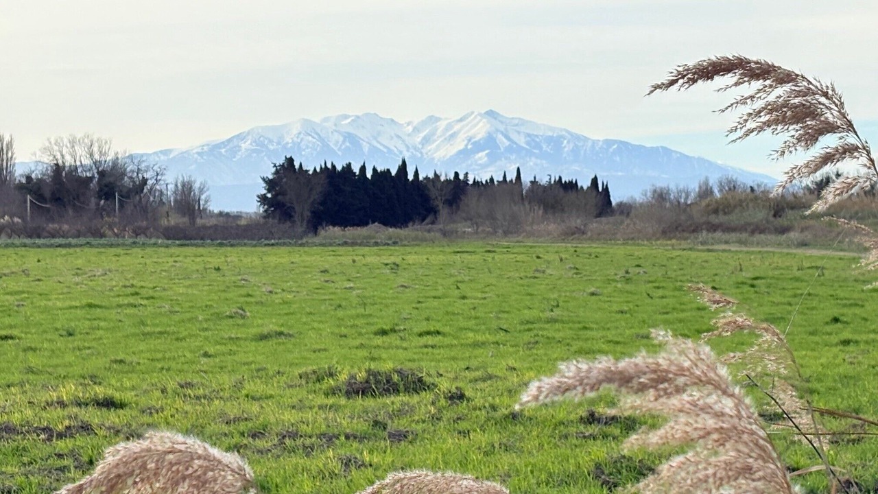 Photo of Others in Villelongue-de-la-Salanque
