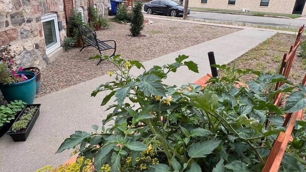 Photo of Outdoor in Estevan