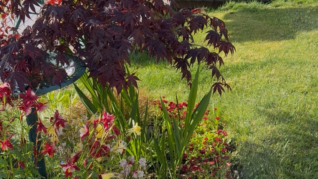 Photo of Outdoor in Bonney Lake