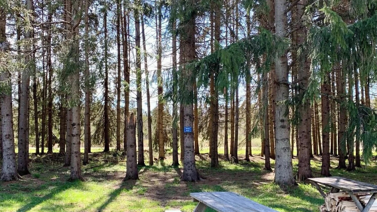 Photo of Outdoor in Beaver Dams