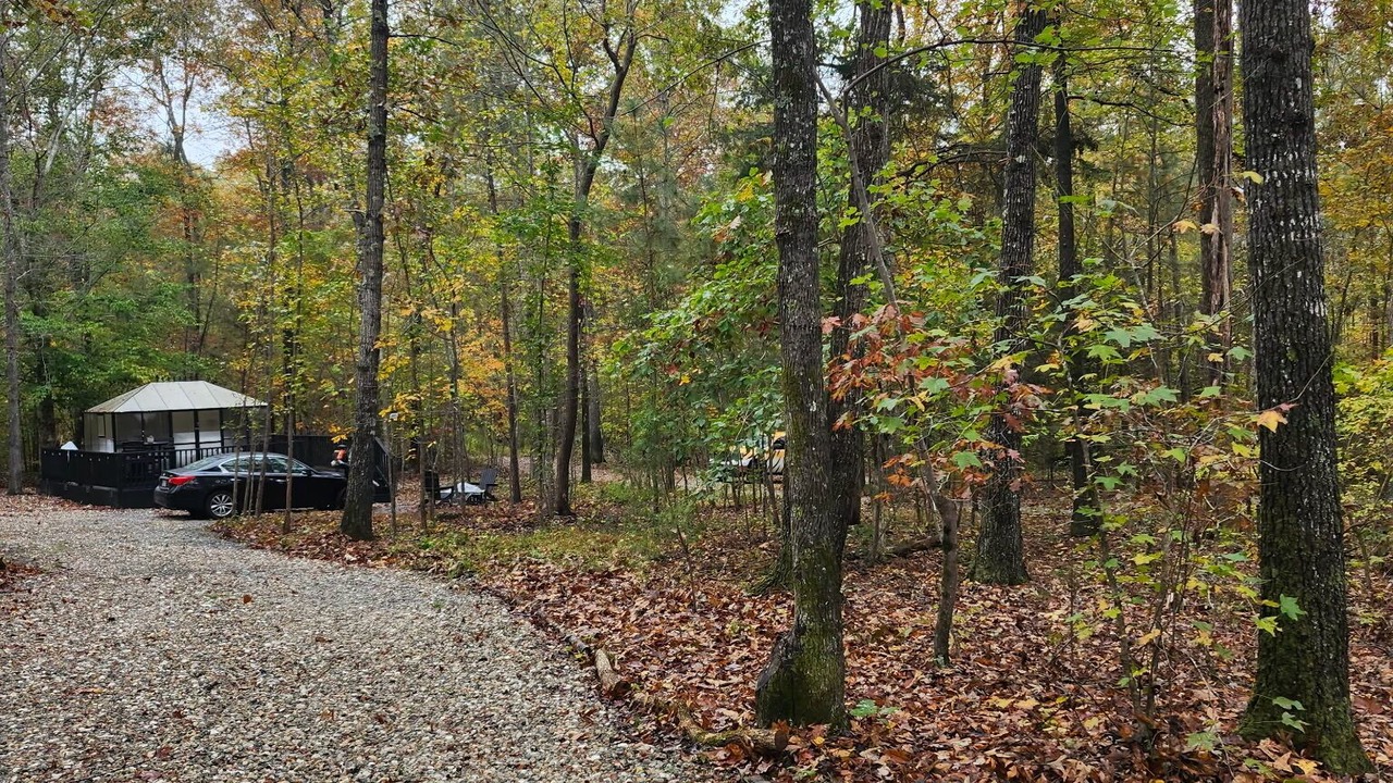 Photo of Outdoor in McCain