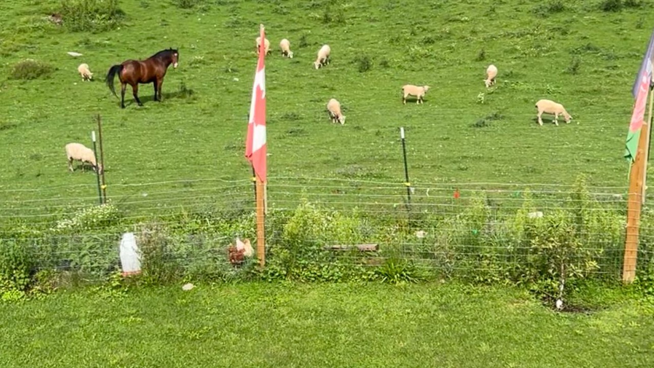 Photo of Others in Madoc