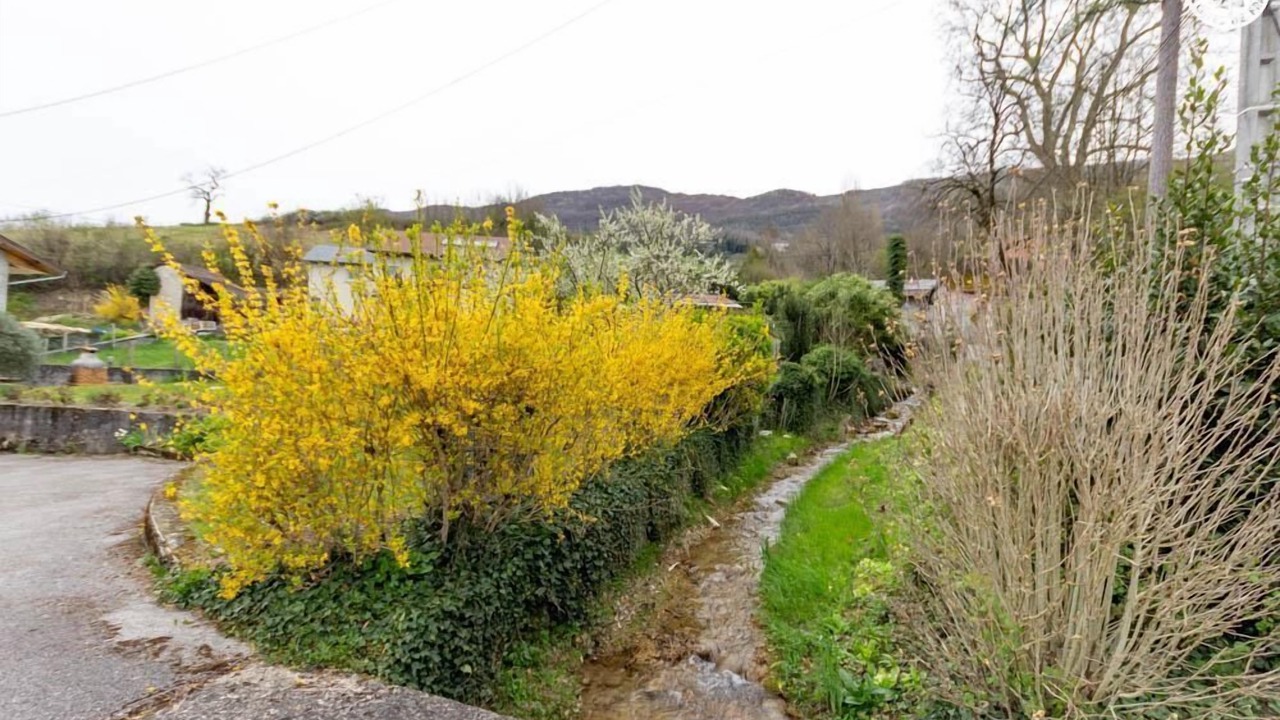 Photo of Outdoor in Chindrieux