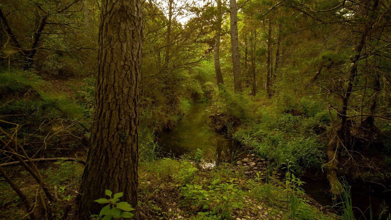 Photo of Others in Bastrop