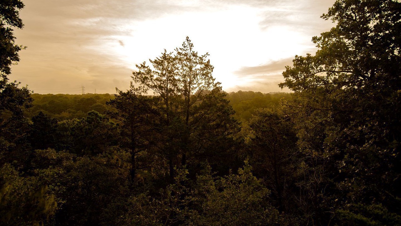 Photo of Others in Bastrop
