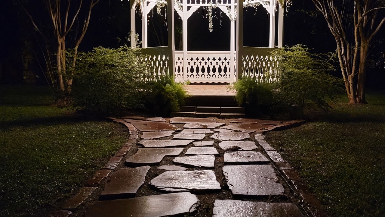 Photo of Outdoor in Bay City
