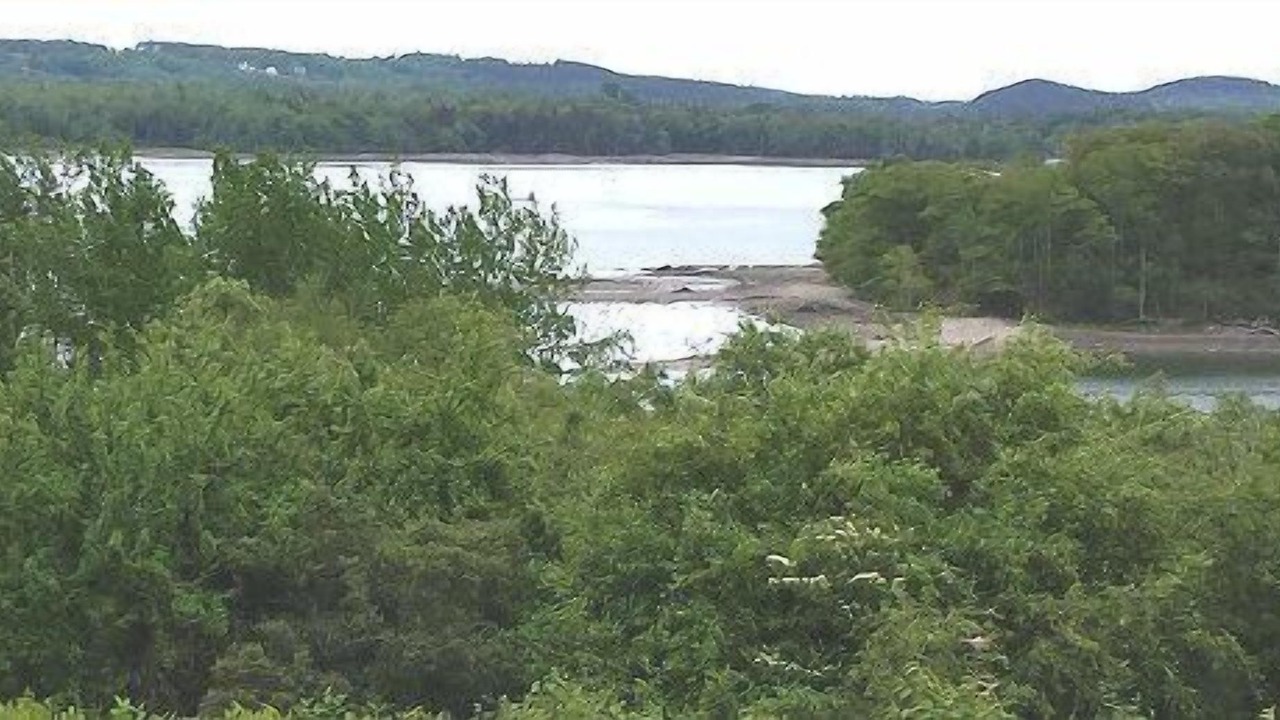 Photo of Others in Castine