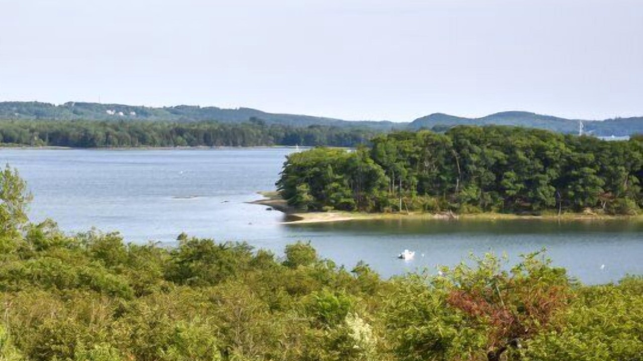 Photo of Others in Castine