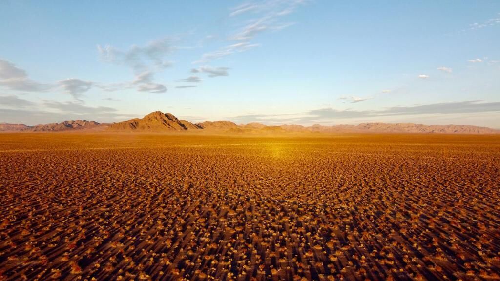 Photo of Others in Amargosa Valley