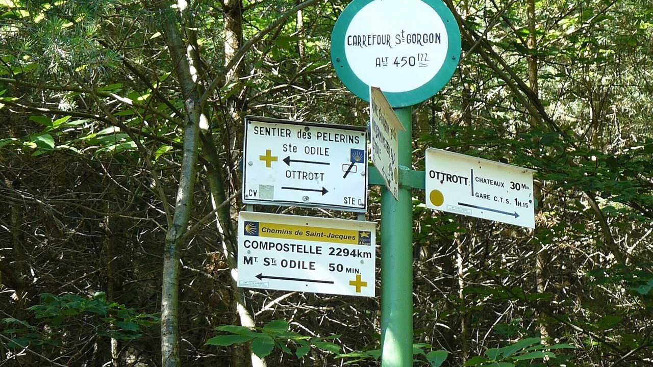 Photo of Outdoor in Ottrott
