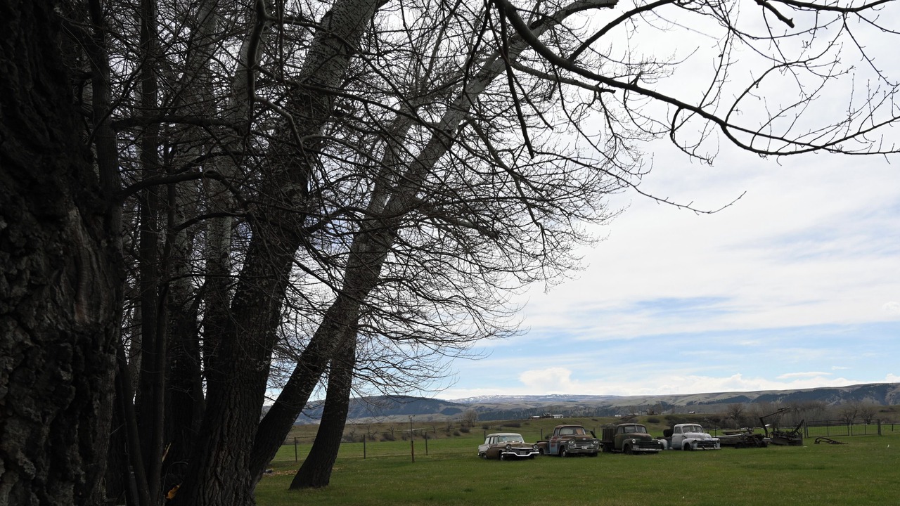 Photo of Others in Big Horn County