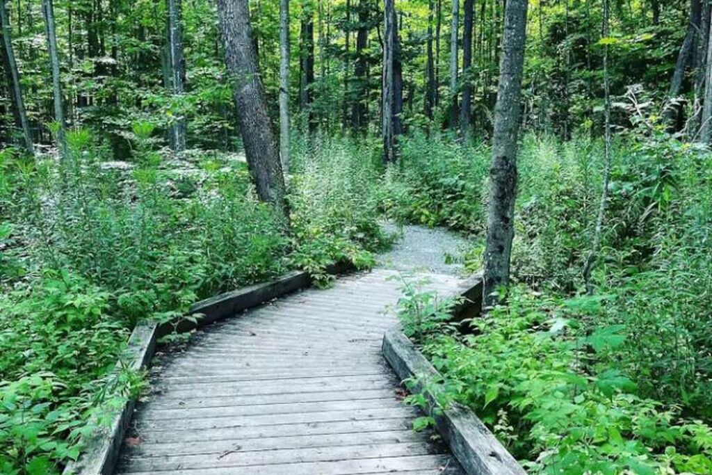 Photo of Outdoor in Innisfil