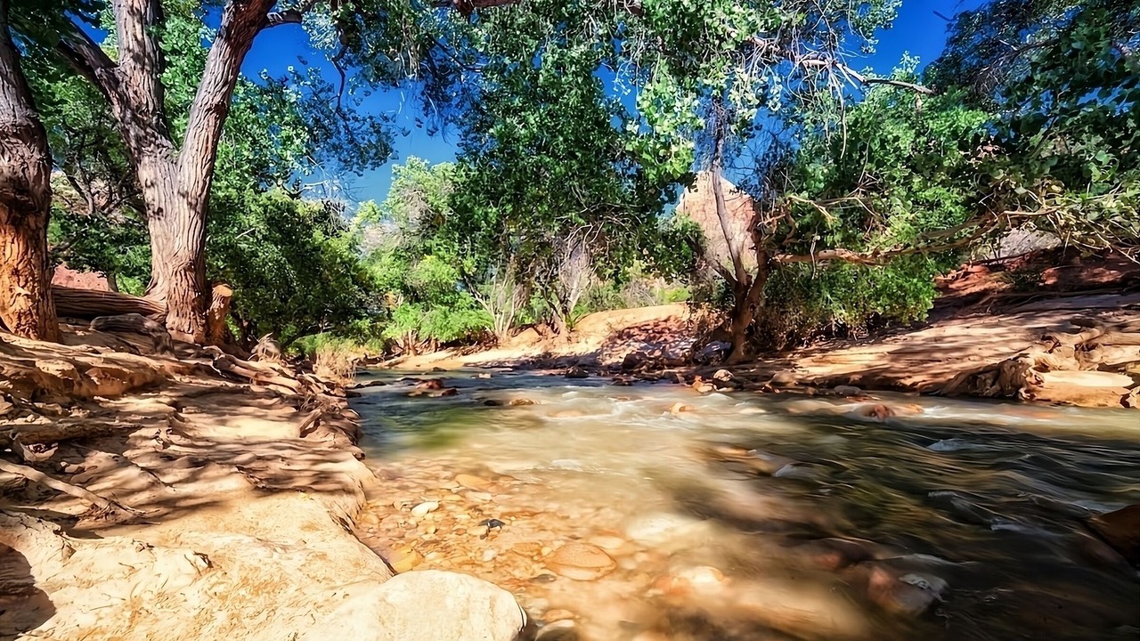 Photo of Others in Zion National Park South Entrance