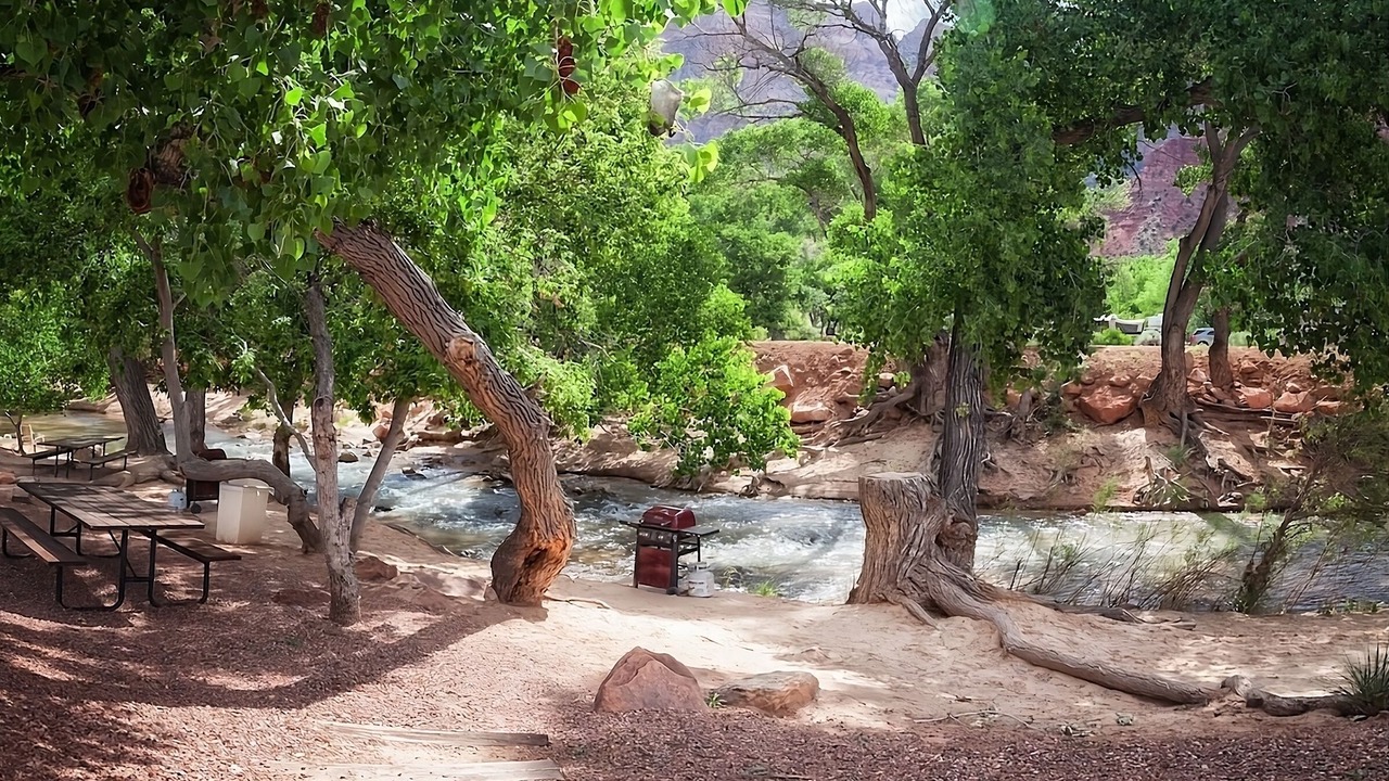 Photo of Others in Zion National Park South Entrance
