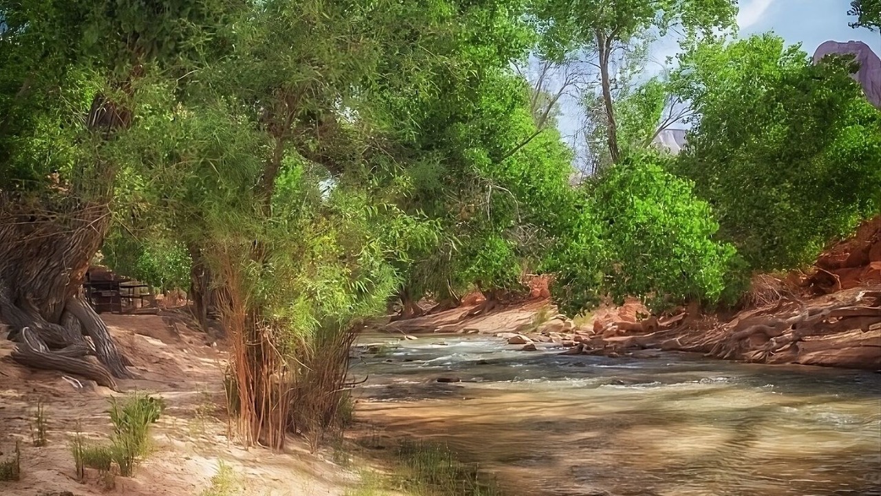 Photo of Others in Zion National Park South Entrance