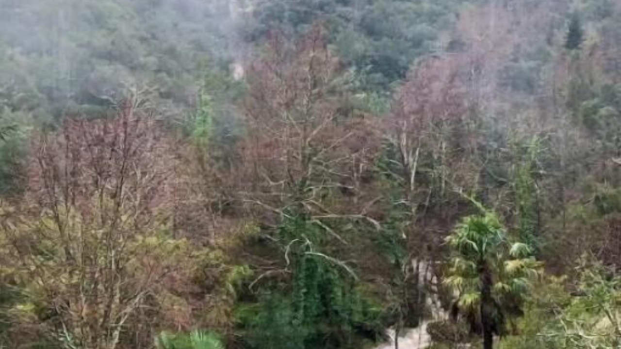 Photo of Others in Reynes