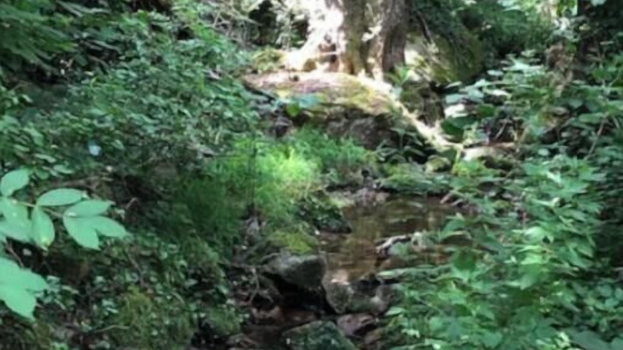 Photo of Others in Reynes