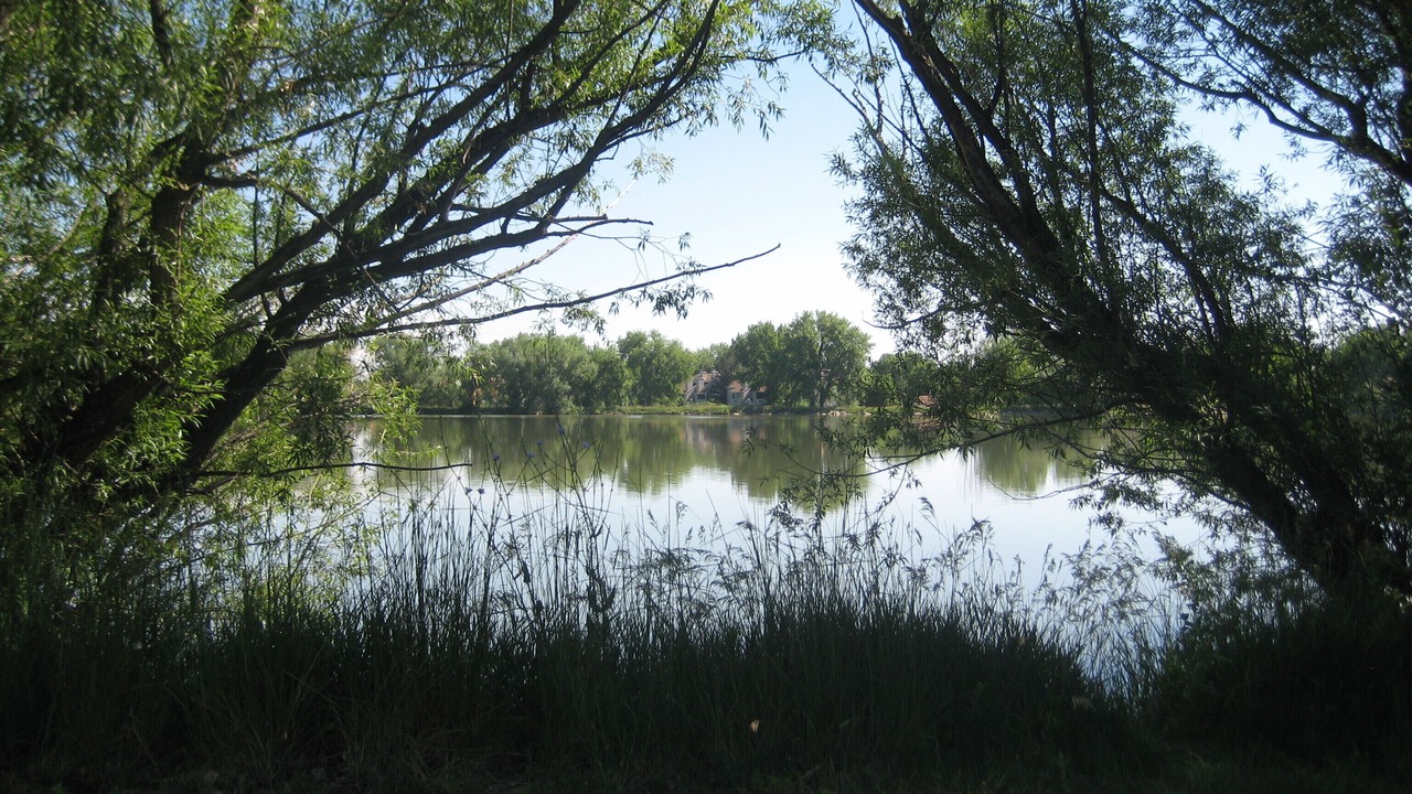 Photo of Others in Gunbarrel