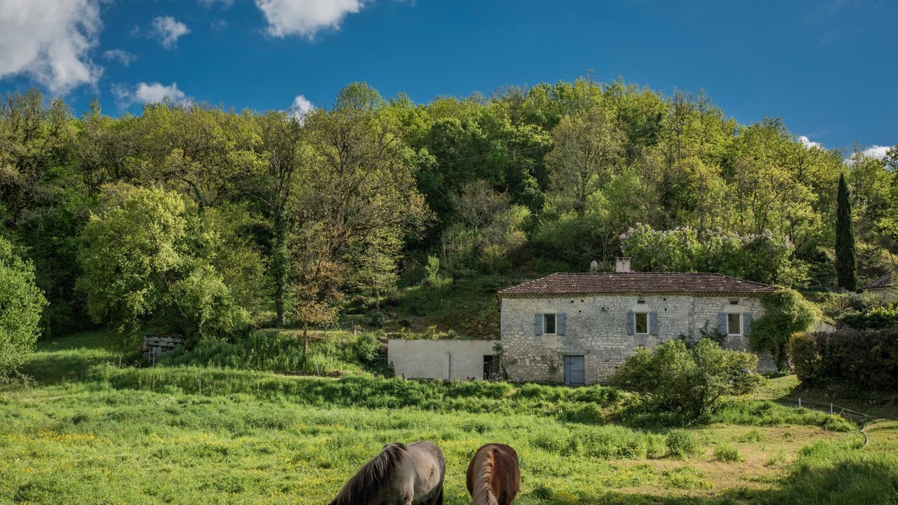 Photo of Outdoor in Castelnau-Montratier-Sainte-Alauzie