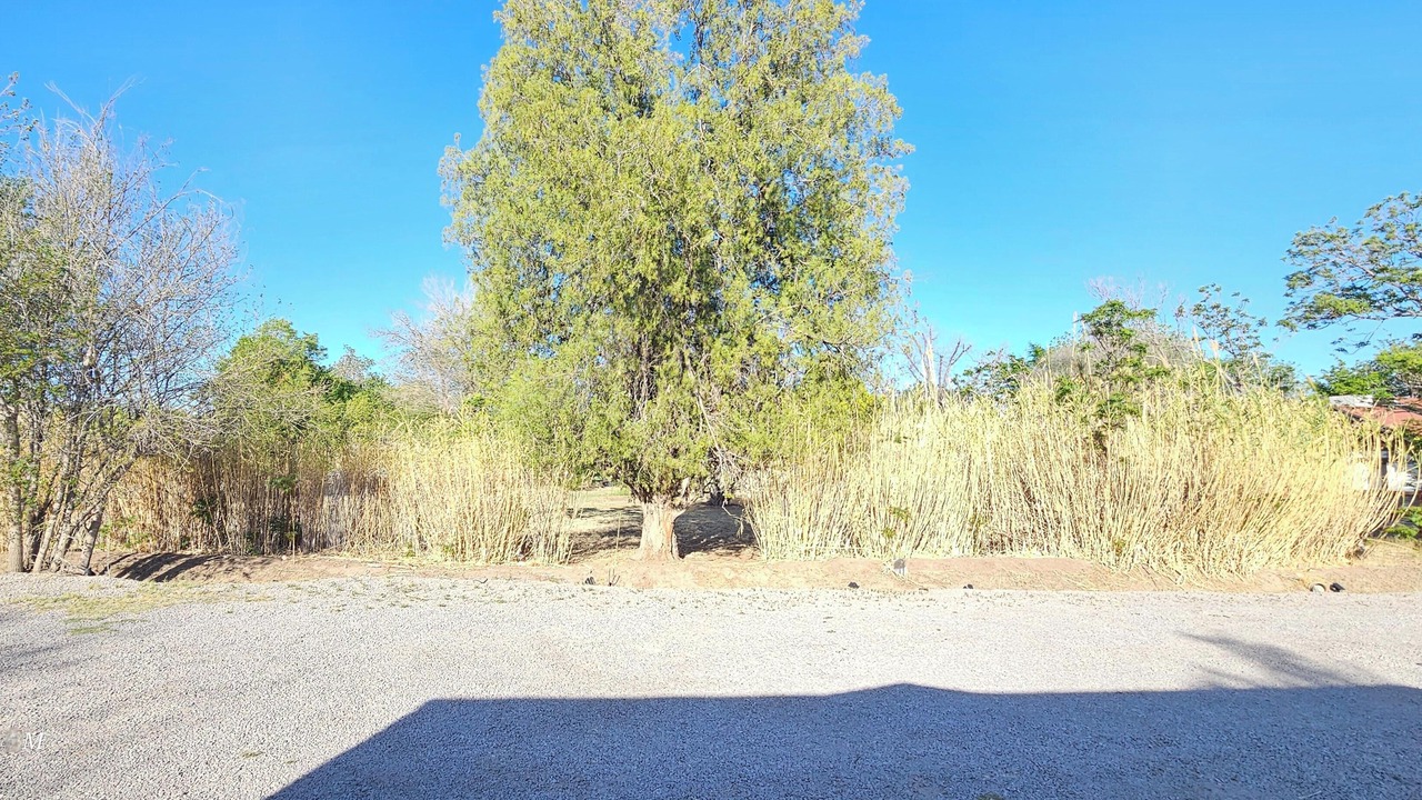 Photo of Others in Mesilla Park