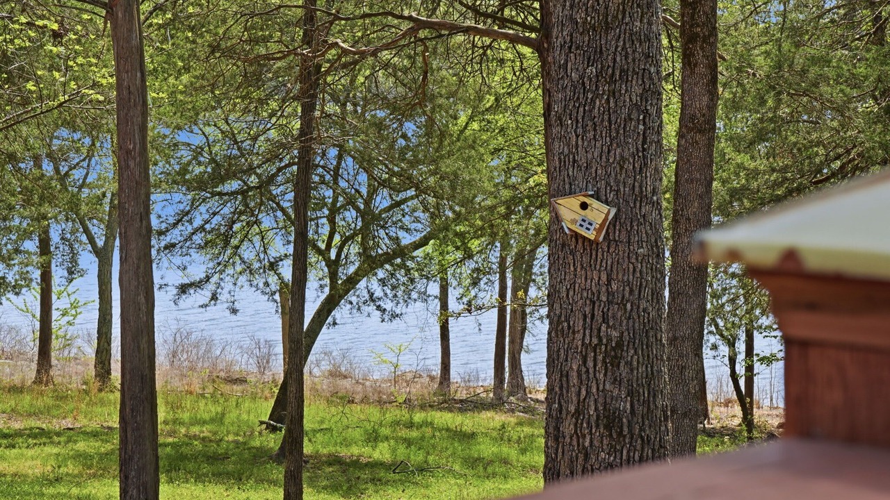 Photo of Others in Shell Knob