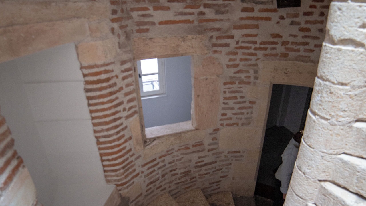 Photo of Others in Albi