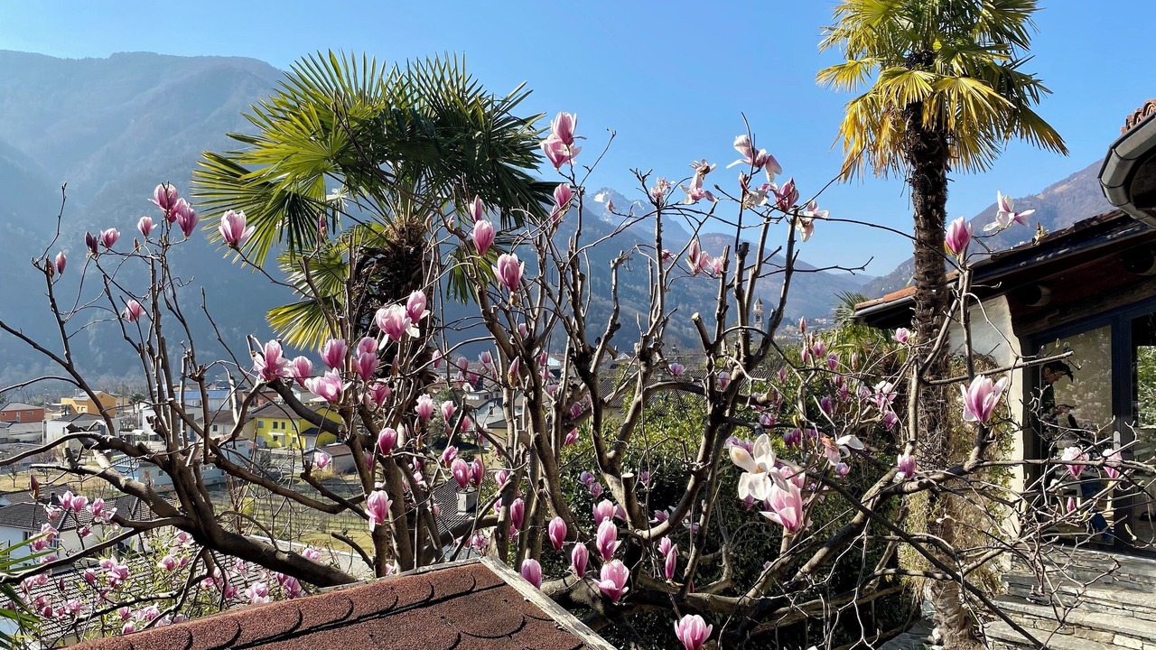 Photo of Outdoor in Terre di Pedemonte