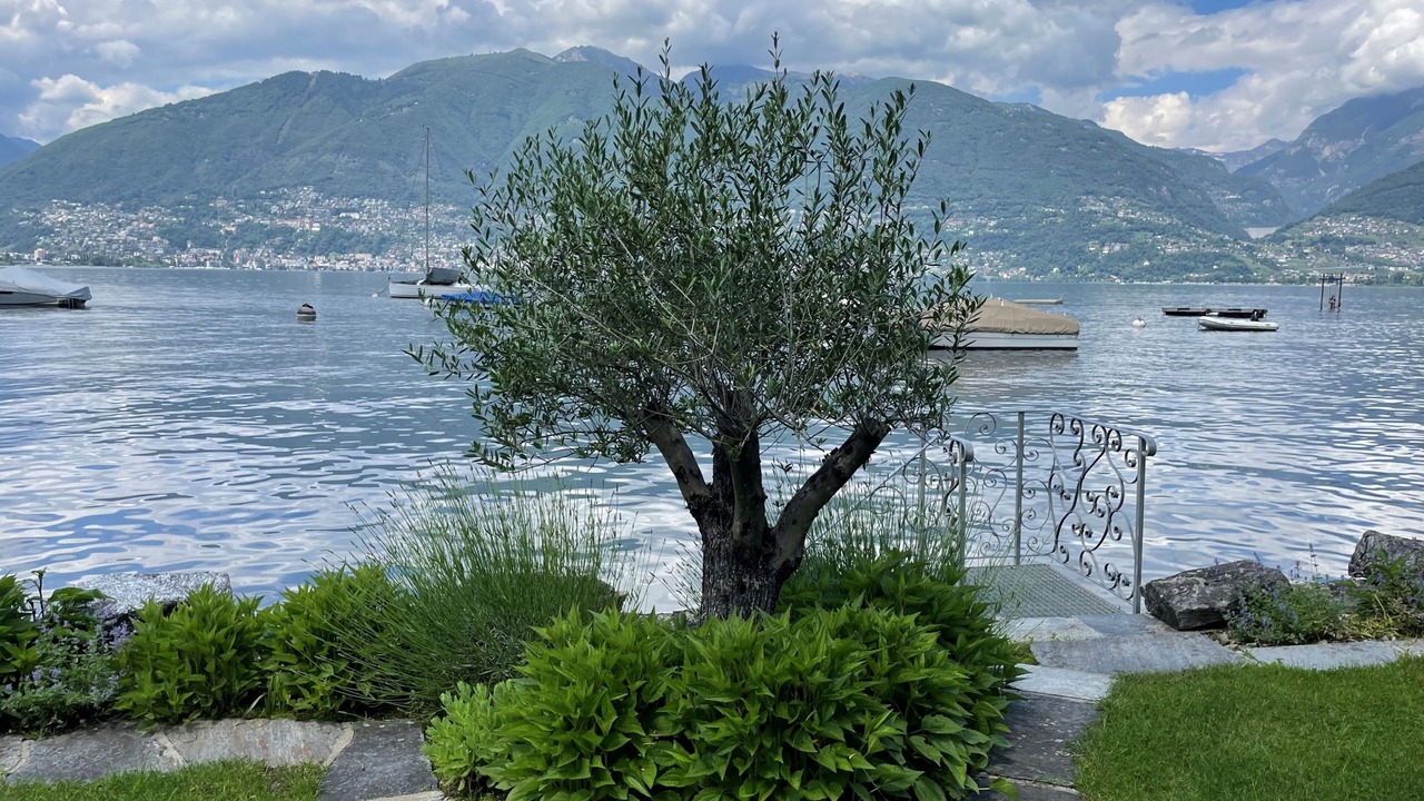 Photo of Outdoor in Vira