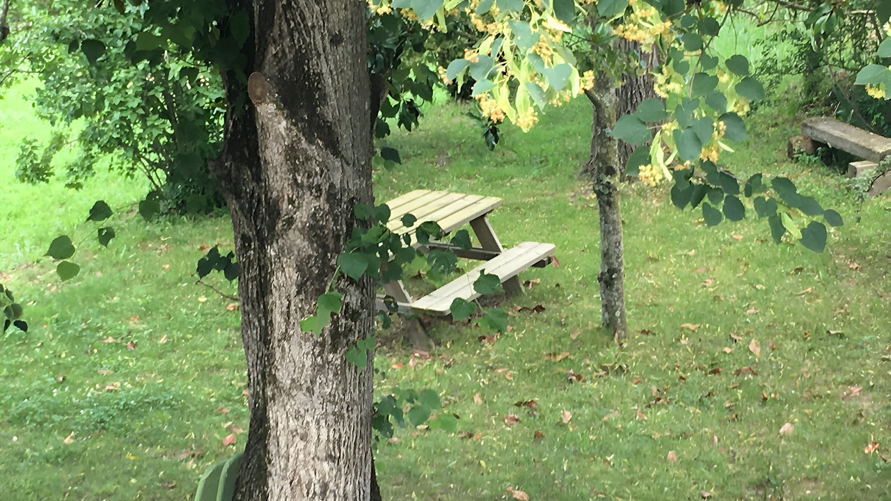 Photo of Outdoor in Maureillas-Las-Illas