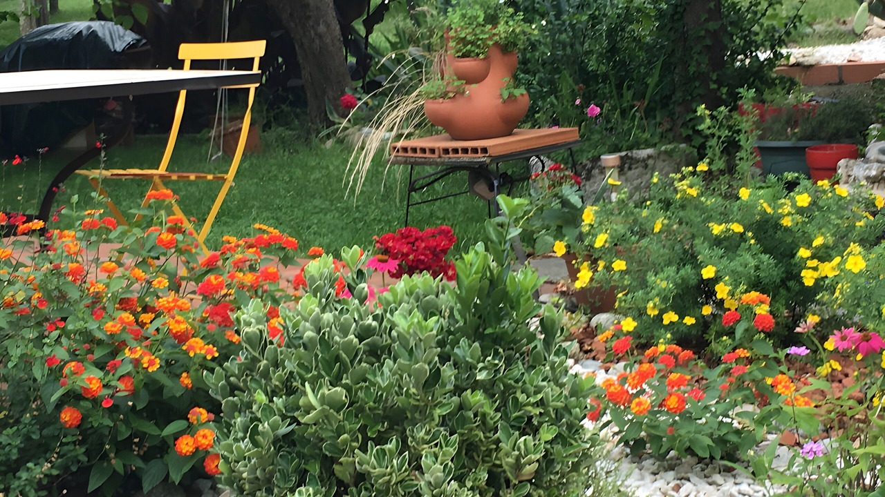 Photo of Outdoor in Maureillas-Las-Illas