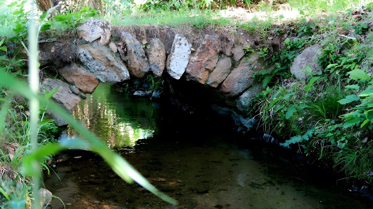 Photo of Others in Maureillas-Las-Illas