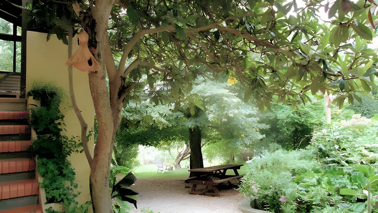 Photo of Outdoor in Maureillas-Las-Illas