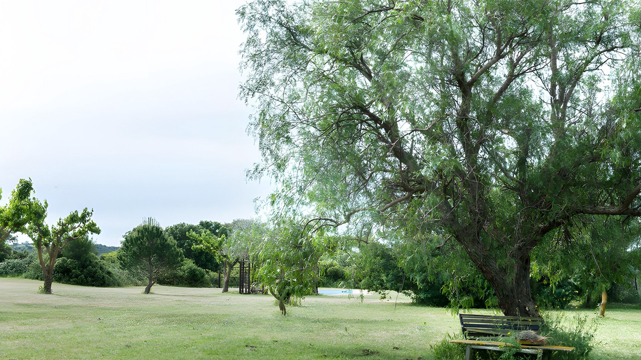 Photo of Outdoor in Rabos