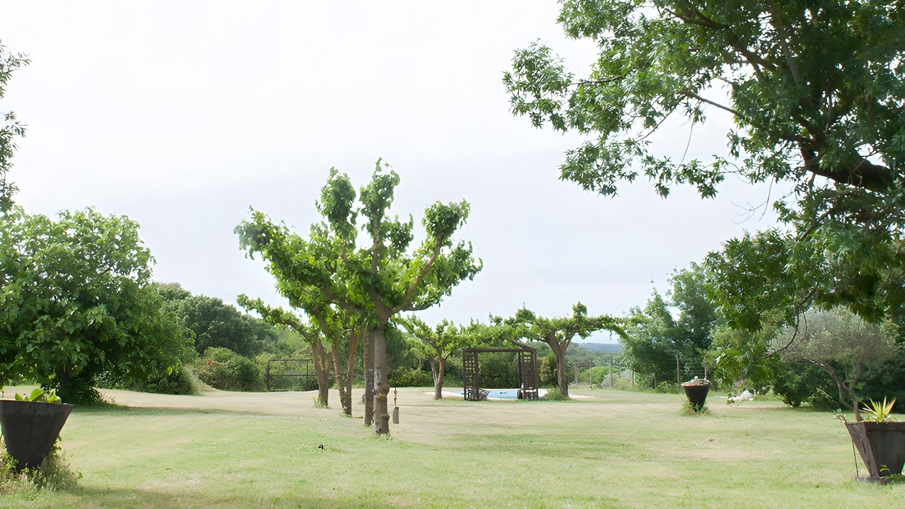 Photo of Outdoor in Rabos
