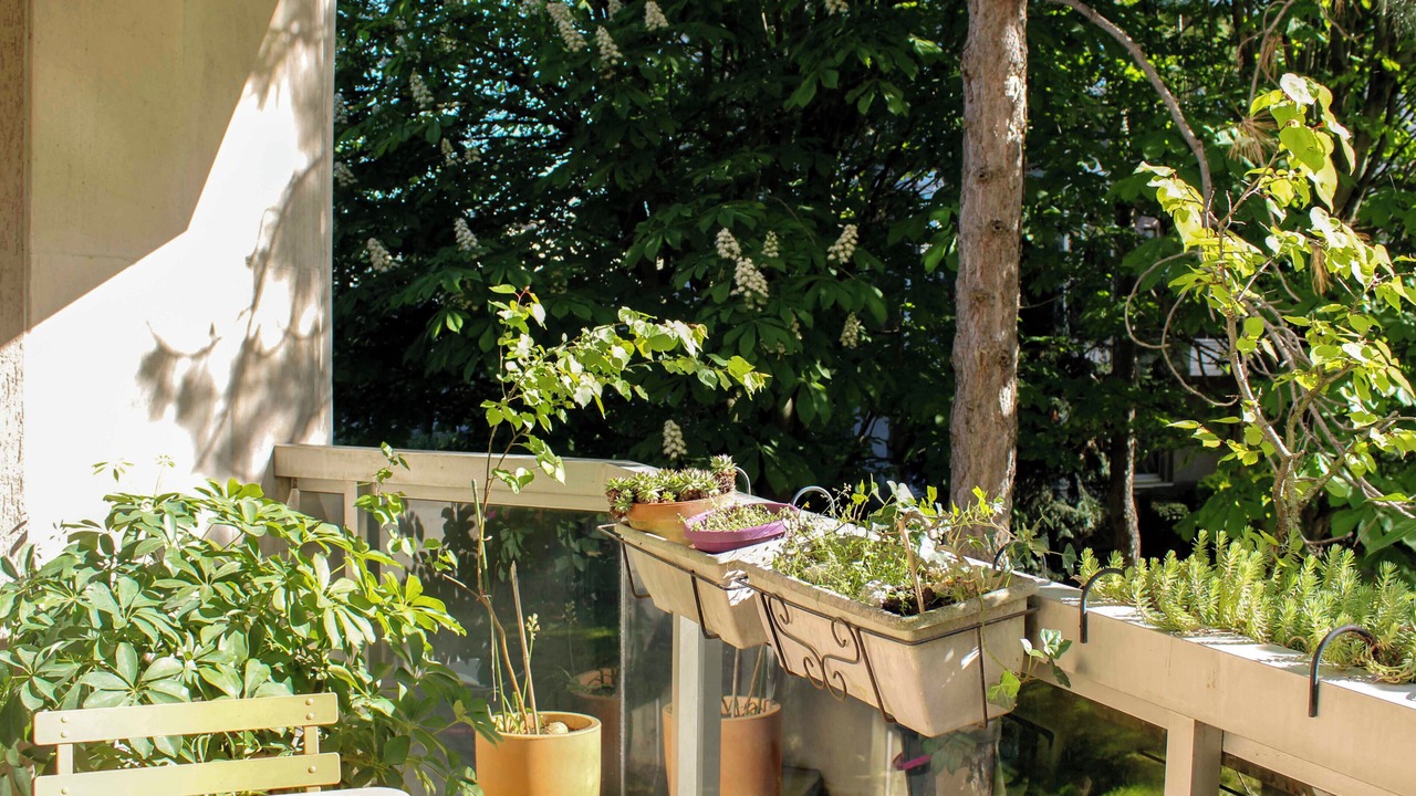 Photo of Outdoor in Quartier de la Salpetriere