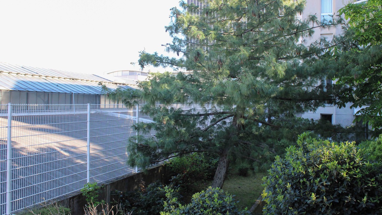 Photo of Outdoor in Quartier de la Salpetriere
