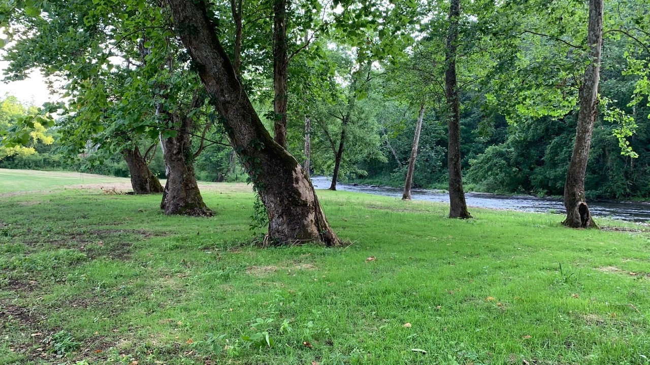 Photo of Others in Hot Springs